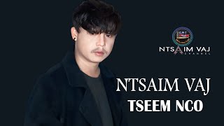 Ntsaim Vaj  Tseem Nco  Yuav Tawm Sai Sai [upl. by Nagoh]