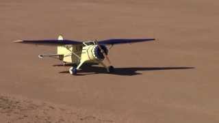 Roberts 30cc Stinson Reliant HD [upl. by Orenid]