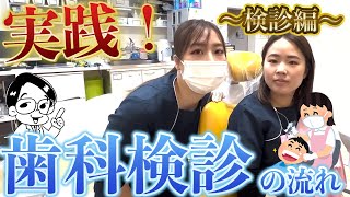 マニア向け？！【歯科衛生士のお仕事風景】歯科検診ってどんなことするの？〜検診編〜 [upl. by Euqinaj]