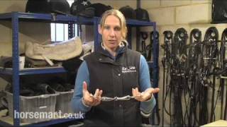 How to bit a horse eggbutt snaffle and loose ring snaffle [upl. by Shreeves]