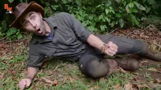 Coyote Peterson in Pain  Screams and Moans Compilation [upl. by Ahter413]