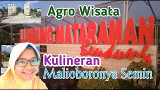 Agro Wisata Lumbung Mataraman BendungMalioboronya Semin Gunungkidul [upl. by Leinadnhoj643]