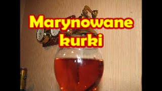 Marynowane kurki  Kwestia Smaku [upl. by Melmon]