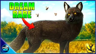 MELANISTIC FOX  Chasing Diamonds and Rares in theHunter Call of the Wild [upl. by Kaye54]