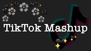 TikTok Mashup 2021 not clean [upl. by Ailekat]