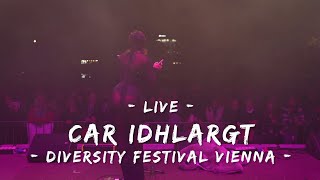 Conchita Wurst  Car IDHLARGT live Diversity Festival Vienna [upl. by Asemaj]