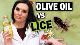 Removing Head Lice with Olive Oil  Watch This BEFORE You Try [upl. by Enylekcaj]