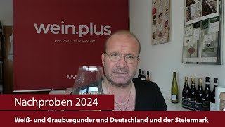 Nachproben 2024  Weiß und Grauburgunder und Deutschland und der Steiermark [upl. by Ibloc]