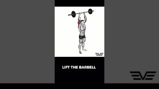 Barbell Overhead Extension barbelloverheadextension overheadextension overheadextensions triceps [upl. by Colier874]