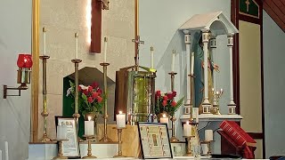 Traditional Latin Mass Kelmscott WA is live XXIII Sunday after Pentecost 3rd November 2024 [upl. by Asyl]