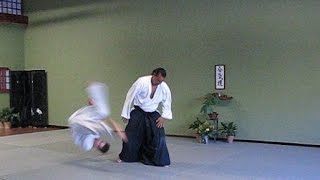 Tenshin Aikido Kokyus [upl. by Gabbert602]