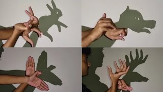 Hand Shadow Puppet Tutorial  Handicraft magic handtrick [upl. by Nyrtak309]