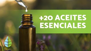 ACEITES ESENCIALES 🪔 Qué son Propiedades y Usos [upl. by Darrin]