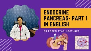 ENDOCRINE PANCREAS PART 1  in English [upl. by Holihs679]