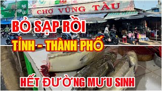 RỒI XONG CHỢ VŨNG TÀU BỎ SẠP RỒI TỈNH CŨNG NHƯ SÀI GÒN HẾT ĐƯỜNG MƯU SINH [upl. by Dolores]