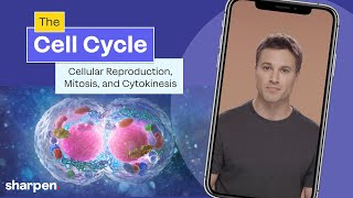 The Cell Cycle Cellular Reproduction Mitosis amp Cytokinesis Explained  Cell Biology [upl. by La Verne992]