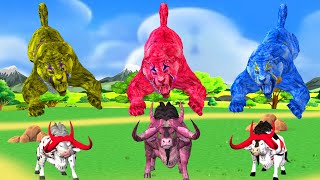 3 Giant bulls vs 3 Giant tigers cow funny animal fighting who is the win battle [upl. by Mathi]