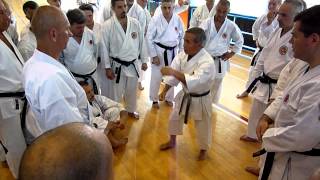 Shihan Masaru Miura 9dan Karatedo seminar part 7 [upl. by Aifos]