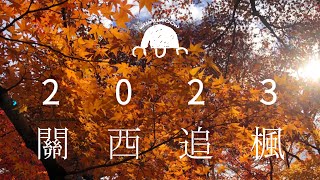 2023 ▎關西追楓🍁 ▎永觀堂、真如堂、清水寺、祐齋亭、箕面、天龍寺、嵐山、宗忠神社、滿足稻荷神社 [upl. by Elah]