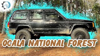 OffRoad Camping in Ocala National Forest Florida [upl. by Ainalem]