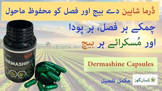 Dermashine is a Trichoderma Türkiye recipe acts as a bio Fungicides bio fertilizer for all plants [upl. by Trout]