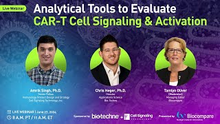 Analytical Tools to Evaluate CART Cell Signaling amp Activation [upl. by Fausta58]