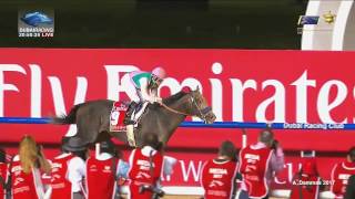 Dubai World Cup 2017  ARROGATE  All the details [upl. by Marita]