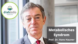 Metabolisches Syndrom mit Prof Dr Hans Hauner [upl. by Adena]