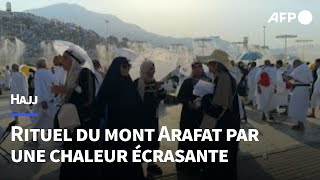 Hajj marée de fidèles au mont Arafat sous une chaleur extrême  AFP [upl. by Saoj]