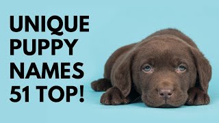 🐶 Unique Puppy Names 51 BEST 🐾 TOP 🐾 CUTE 🐾 Ideas  Names [upl. by Ennaecarg]