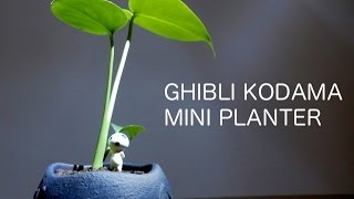 音フェチジブリプランター「もののけ姫 こだまガジュマルの森」ASMRPrincess Mononoke Kodama MINI PLANTERJAPAN [upl. by Shurlocke171]