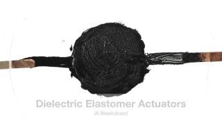 The Basics of Dielectric Elastomers [upl. by Eigram]