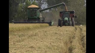 Master Farmer program promotes good stewardship [upl. by Ttelracs]