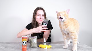 What Does Catnip Do To Cats Why Cats Like Catnip And More [upl. by Mixam]