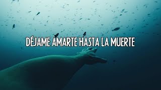 Starset  Love You To Death Sub Español HD [upl. by Amedeo]