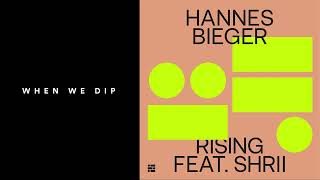 Premiere Hannes Bieger  Rising ft Shrii Elektrons [upl. by Lenes]