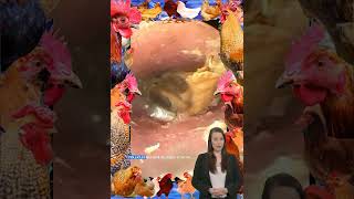 ear wax removal Satisfying Video Reaction usa earwaxremoval trendingvideo earrings [upl. by Broeker]