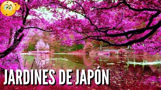 HERMOSOS JARDINES DE JAPÓN [upl. by Nahguav]