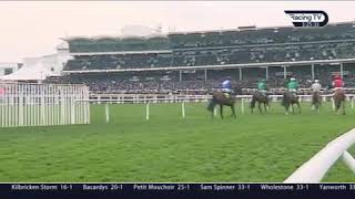 Paisley Park Stayers Hurdle Cheltenham 2019 [upl. by Idnar]