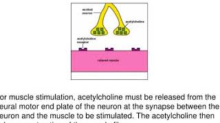 exotoxins cytotoxins neurotoxins enterotoxins enterotoxins [upl. by Eiba782]