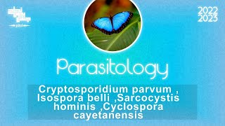 Cryptosporidium Isosporacyclosporaamp Sarcocystis  Parasitology [upl. by Ellynad]