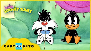 Baby Looney Tunes  Fairplay  Cartoonito UK [upl. by Aes]