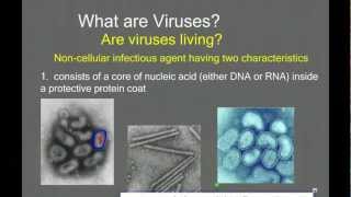 Introduction to Viruses and Viral Replication [upl. by Aihtenyc]