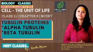 TUBULIN PROTEIN  ALPHA TUBULIN  BETA TUBULIN  PROTOFILAMENTS  MTOC CHAPTER 8 LECTURE 20 [upl. by Anilatak]