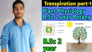 Transpiration in Plants  BSc 2 year Botany Plant physiology and Biochemistry [upl. by Rourke]