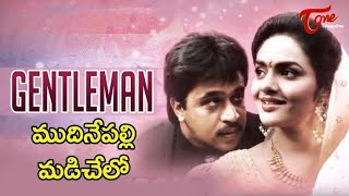 Mudinepalli madichelo telugu video song from gentleman movie ll arjun  madhu bala ll [upl. by Etteloiv]