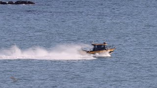 Plimmerton Trailer Boat Capital [upl. by Malamut481]