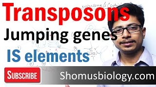 Transposable elements  transposons and is elements [upl. by Yenot]