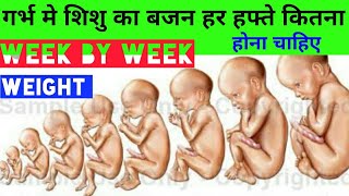 Weight of baby during pregnancy week by week [upl. by Ebehp]