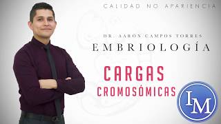 Embriología  Gametogénesis  Cargas Cromosómicas [upl. by Ennairrac]